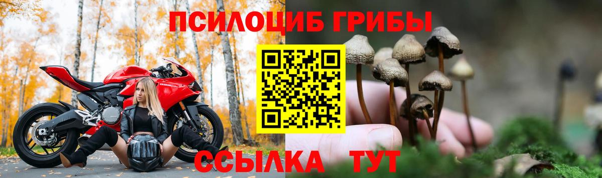 Псилоцибиновые грибы Magic Shrooms  Вход с VPN  Комсомольск-на-Амуре  Галлюциногенные грибы прущие грибы 